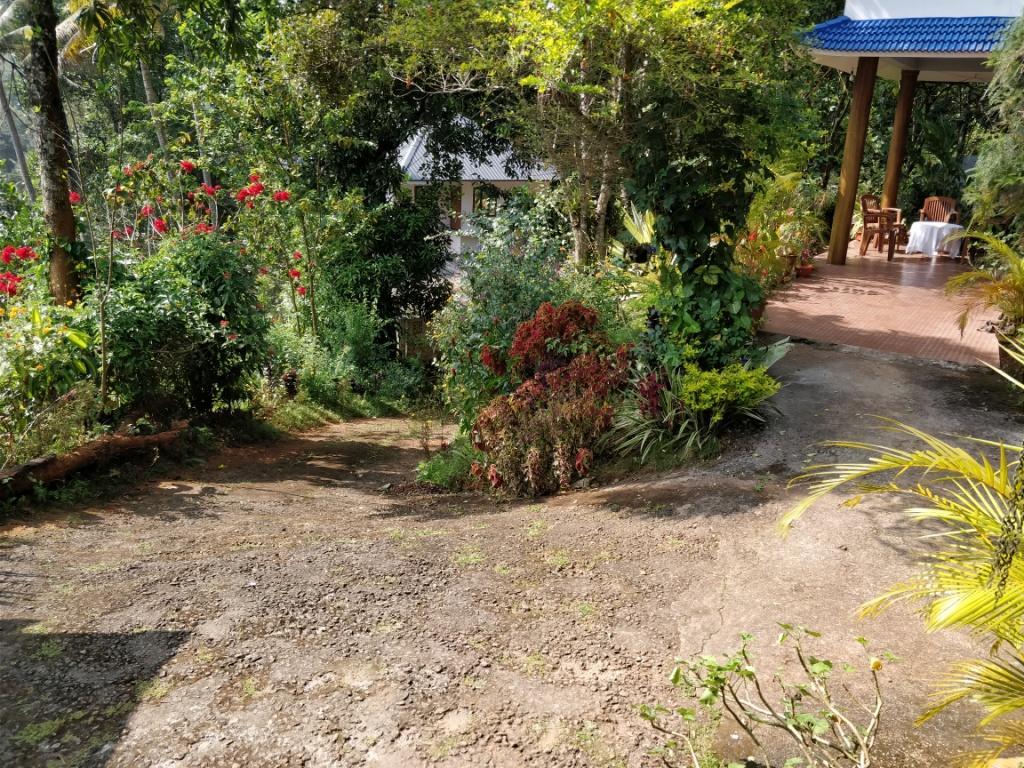 River View Inn Munnar Ngoại thất bức ảnh